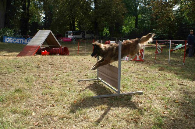 foire-haricots 2011-09-17et18